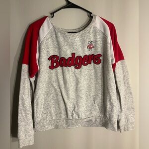 Wisconsin Badger Sweater